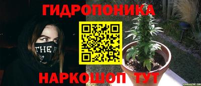спиды Малгобек
