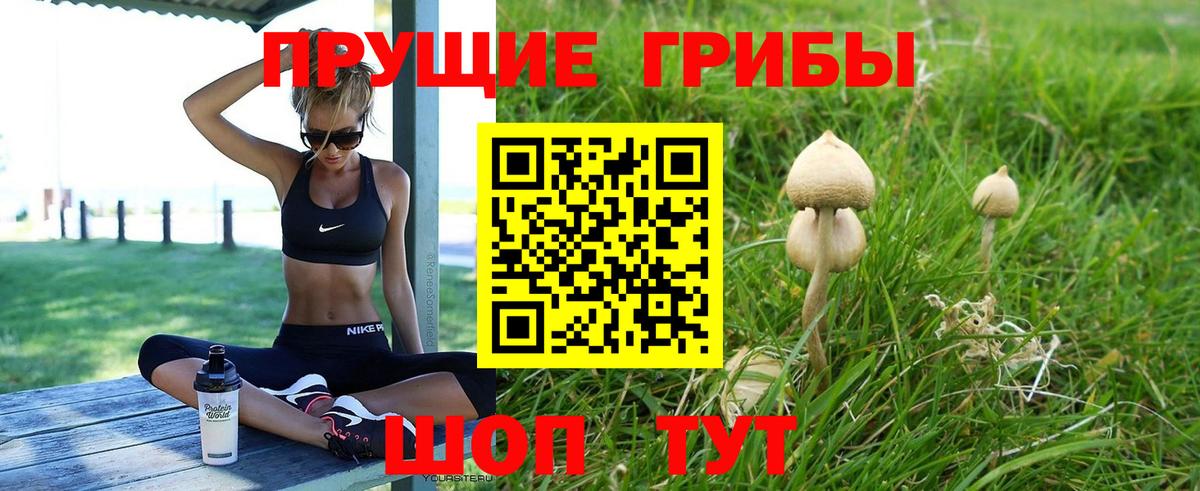 Галлюциногенные грибы Cubensis  Вход с VPN  как найти закладки  Великие Луки 