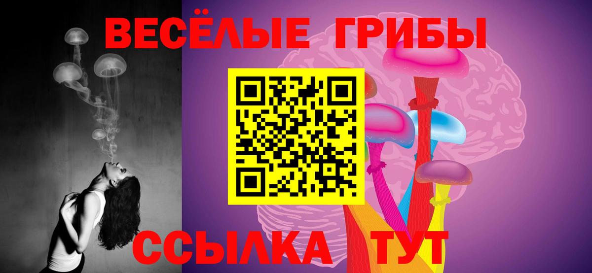 Псилоцибиновые грибы мицелий Великие Луки